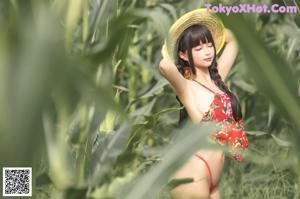 Coser@蠢沫沫 (chunmomo): The Story of Cornfield (50 photos)